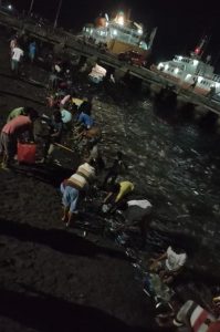 Warga Kota Lewoleba sedang memungut ribuan ekor ikan kecil yang muncul di pesisir pantai pelabuhan Lewoleba, Kamis (3/12/2020) malam.